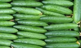 урожайность огурцов Татьяна