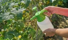 увлажнение огурцов Гирлянда