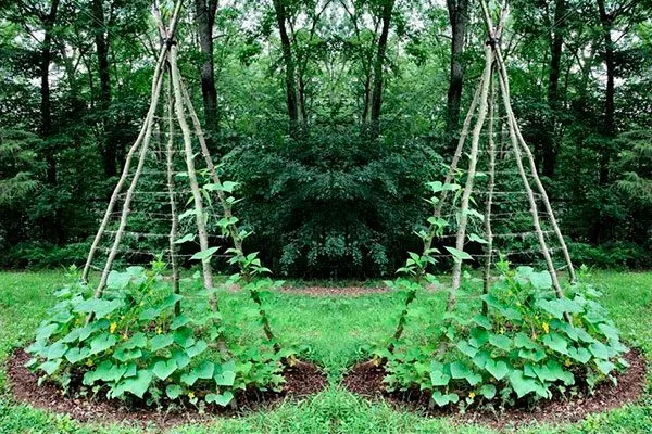 В виде шалаша