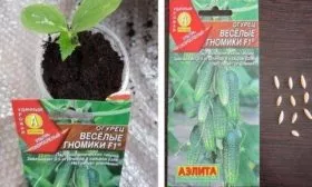 Весёлые гномики