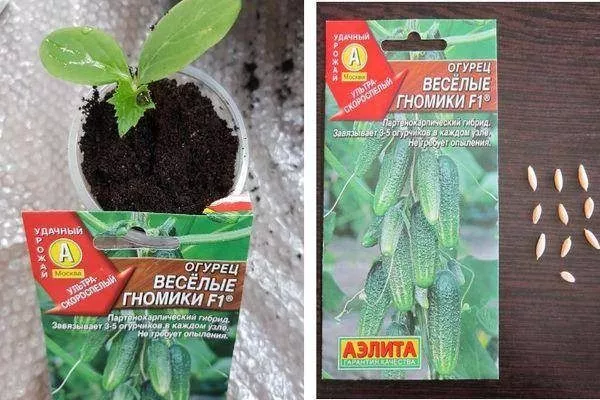 Весёлые гномики