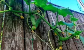 Характеристики