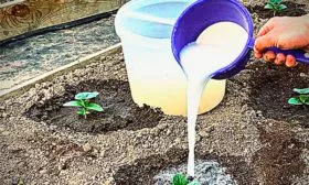 Внесение удобрений