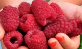 Внешние показатели ягод, их вкус