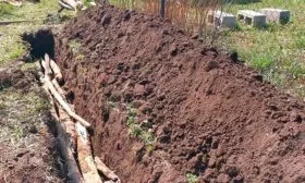 Выбор и подготовка посадочного участка