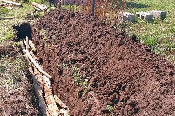 Выбор и подготовка посадочного участка