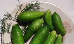 консервированные огурцы ВЬюга