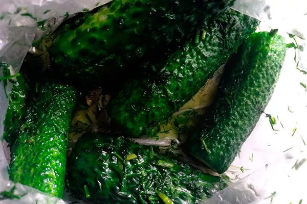 Малосольные огурцы