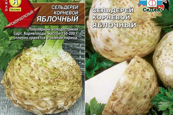 сельдерей Яблочный