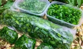 заморозка зелёного лука батун апрельский