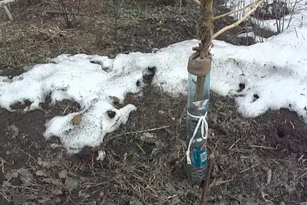 Защита от грызунов