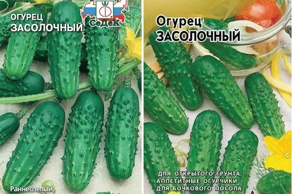 Засолочный