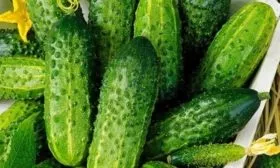 плоды Зелёнки