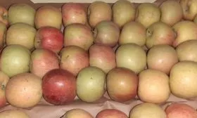 фуджи сбор и хранение