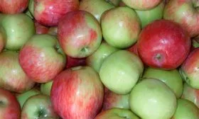 Хранение яблонb Орловское полосатое15