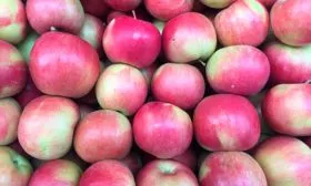 хранение яблони Айдаред9