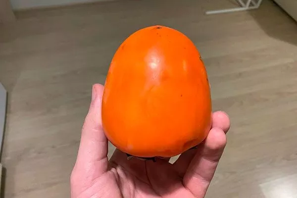 хурма Бычье сердце плод