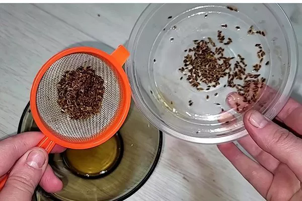 Как подготовить семена