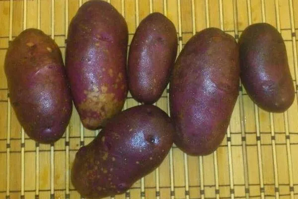 картофель Чугунка