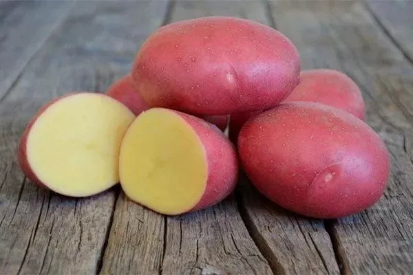 Картофель Лабелла: немецкий красный