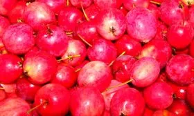 Китайская ранняя