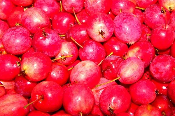 Китайская ранняя