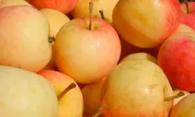 Колоновидная Медовая Зимняя