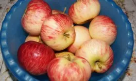 Коричное полосатое сбор