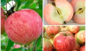 Коричное полосатое вкус