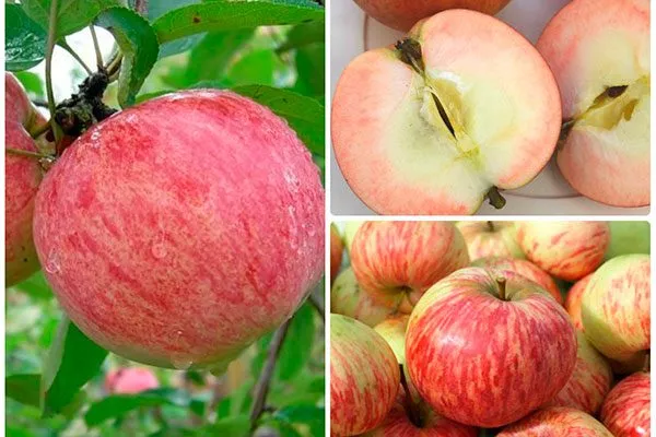 Коричное полосатое вкус