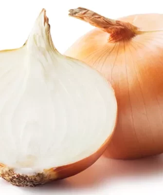 Луганский лук - описание