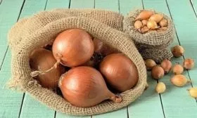 лук сорта Фермер