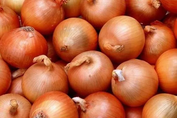 особенности лука Глобус