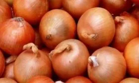 Лук Классика