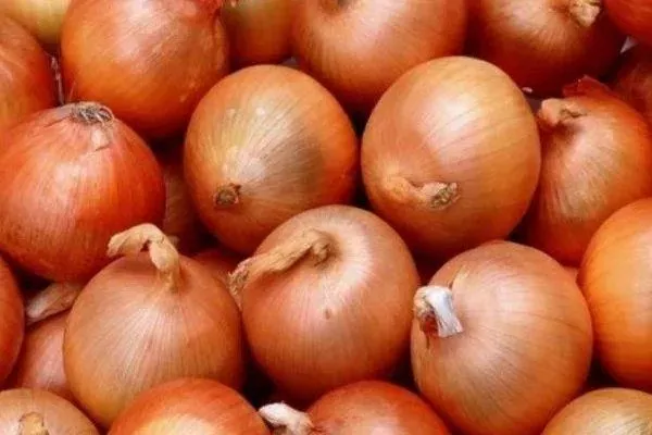 Лук Классика