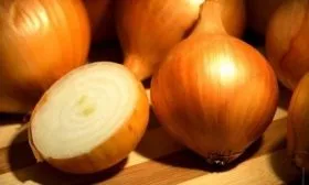 описание лука Сибирского золотистого