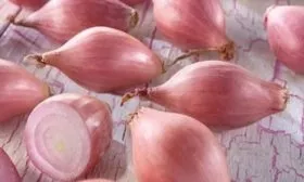 лук сорта Россана