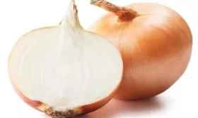 лук сорта Сибирь