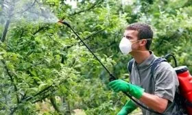 обработка яблони Союз от вредителей