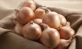 описание лука Богатырская сила