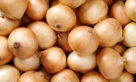 описание лука Изумруд