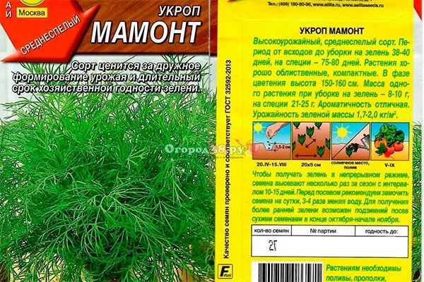 Описание укропа Мамонт5