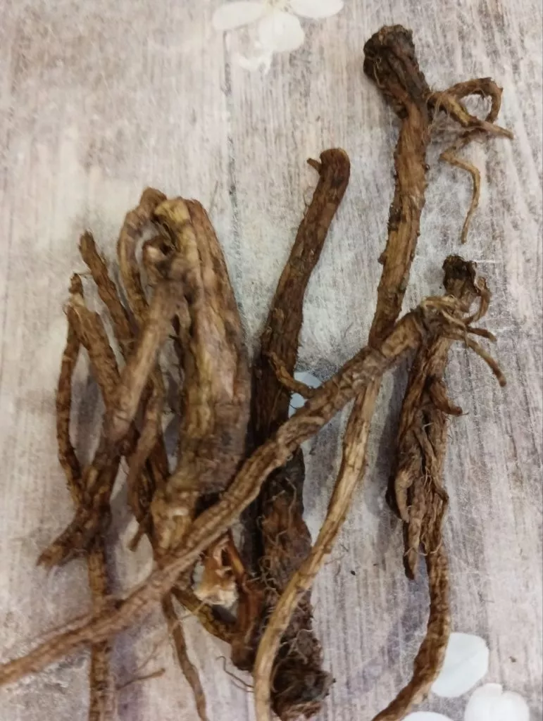 Одуванчики на даче-лекарство под ногами