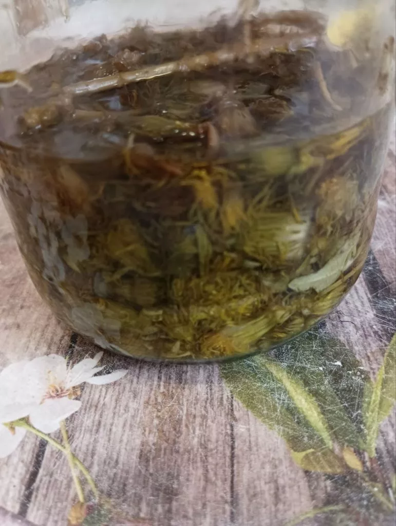 Одуванчики на даче-лекарство под ногами