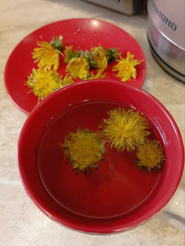 Одуванчики на даче-лекарство под ногами