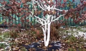 побелка Яблоня Чудное