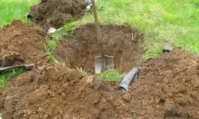 подготовка посадочной ямы для яблони Рудольф