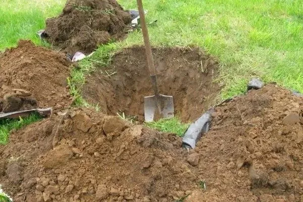 подготовка посадочной ямы для яблони Рудольф