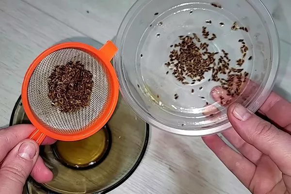 Подготовка семян Укроп Карлик
