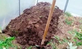 подготовка участка под огурцы Алтай